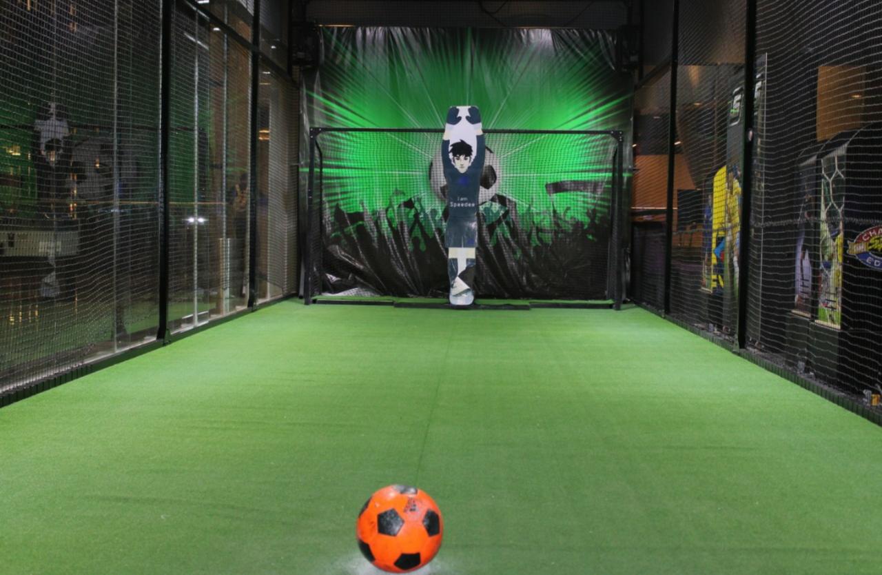 iRoboGoalie Mexico